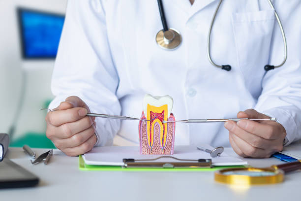 Best Emergency Root Canal Treatment in Pine Ridge At Crestwood, NJ